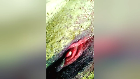 Indian massage with a big cock is a pleasure for the girl